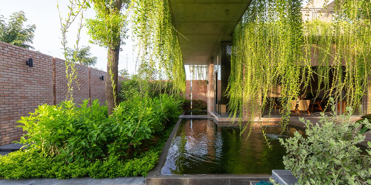 Thiết kế vườn treo tường xanh mát và bền vững